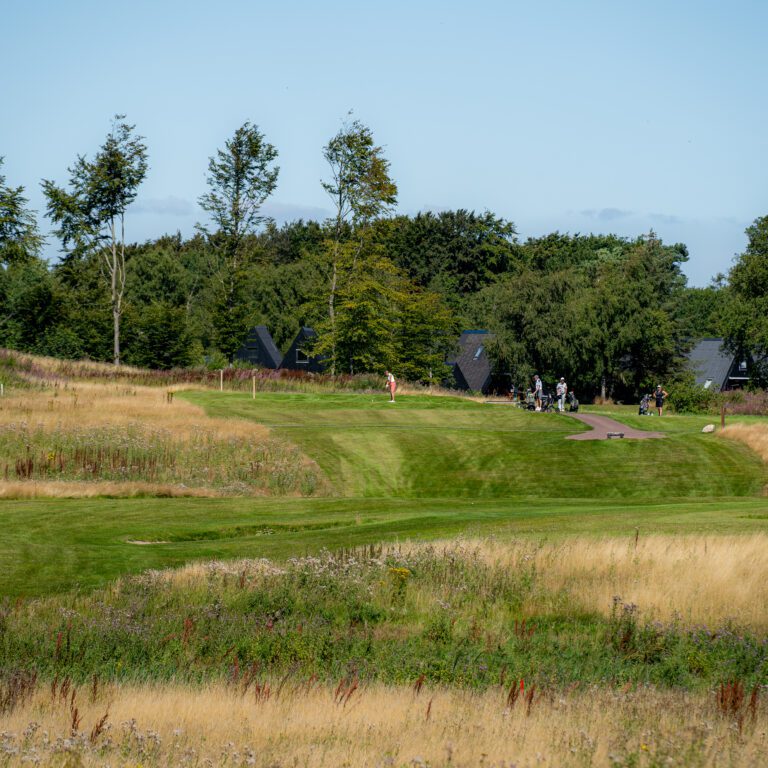 HimmerLand-Aktiviteter-Golf