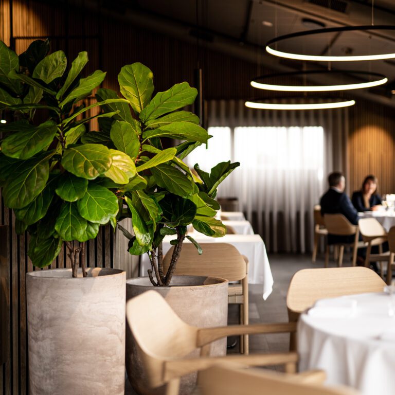 HimmerLand-HimmerRiget-Restaurant