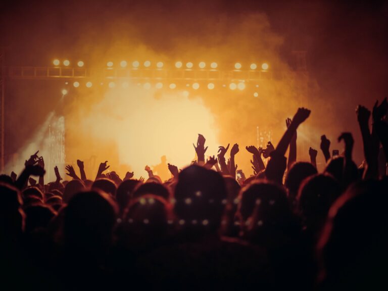 HimmerLand-Firmafest