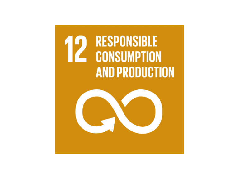 World-Goal-12-Responsible-Consumption-And-Production